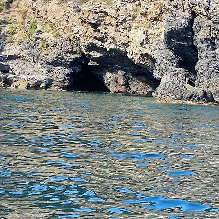 San Paolisa *