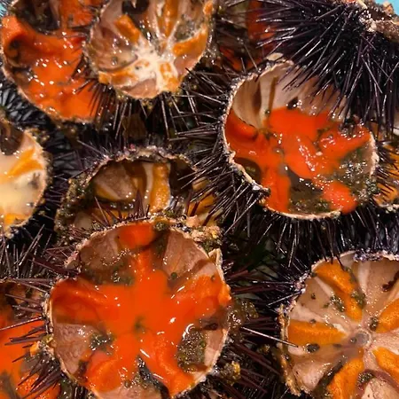 San Paolisa Апартаменты Йер